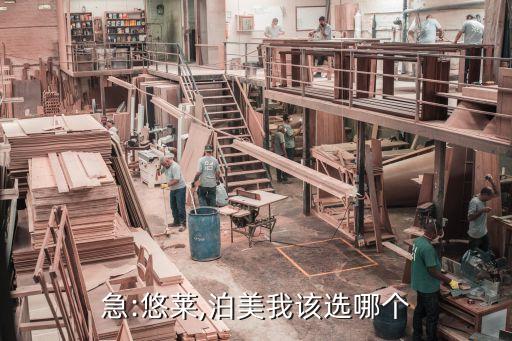 泊美毛孔平滑精华液怎么样,美白淡斑精华液怎么样?