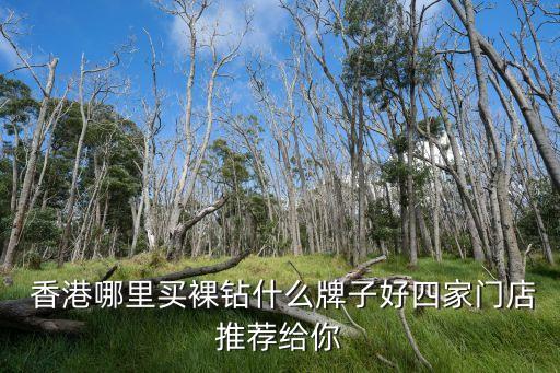  香港哪里买裸钻什么牌子好四家门店推荐给你