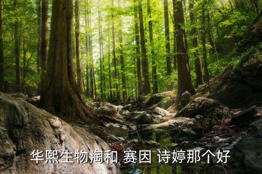 赛因诗婷产品有哪些