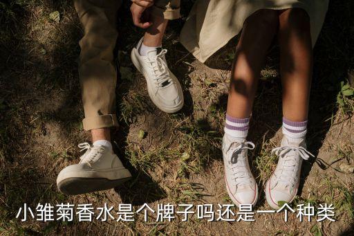 小雏菊香水是个牌子吗还是一个种类