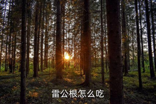 雷公根怎么吃