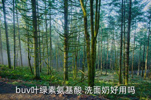 buv叶绿素氨基酸 洗面奶好用吗