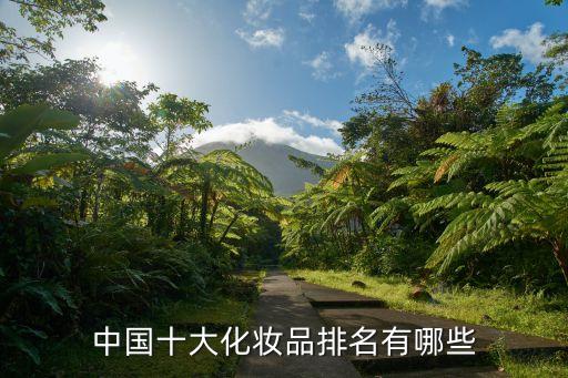 中国十大化妆品排名有哪些