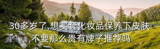30多岁了,想买套化妆品保养下皮肤,不要那么贵有牌子推荐吗