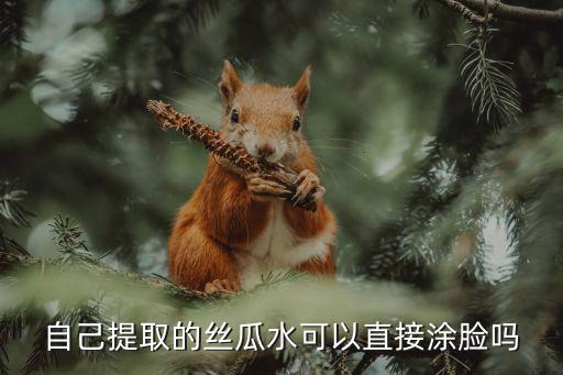 自己提取的丝瓜水可以直接涂脸吗