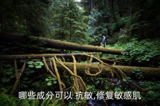 什么是舒缓抗敏,舒缓抗敏成分有哪些