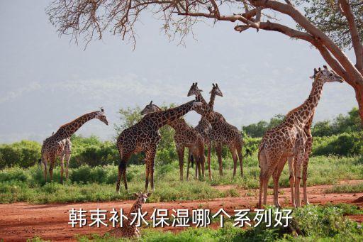 韩束补水保湿哪个系列好