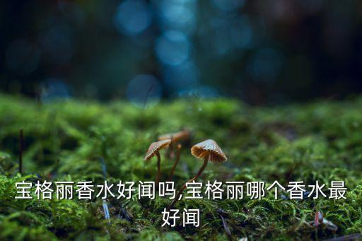 宝格丽香水好闻吗,宝格丽哪个香水最好闻