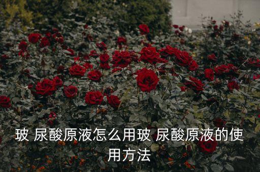 玻 尿酸原液怎么用玻 尿酸原液的使用方法