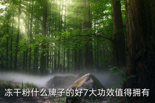 冻干粉什么牌子的好7大功效值得拥有