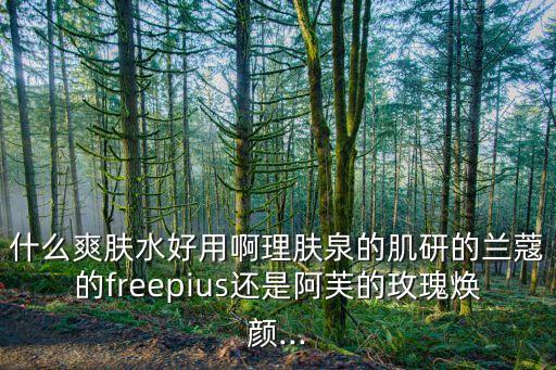 什么爽肤水好用啊理肤泉的肌研的兰蔻的freepius还是阿芙的玫瑰焕颜...