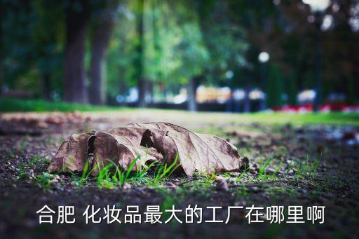  合肥 化妆品最大的工厂在哪里啊