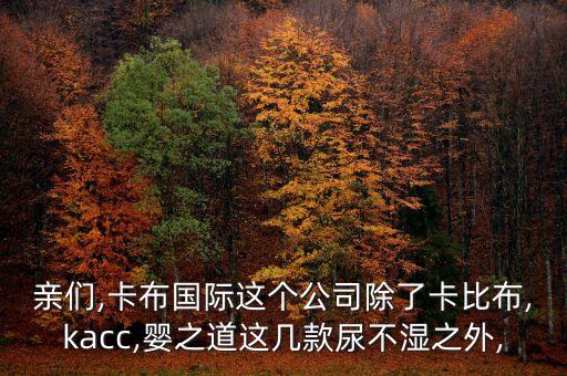 亲们,卡布国际这个公司除了卡比布,kacc,婴之道这几款尿不湿之外,