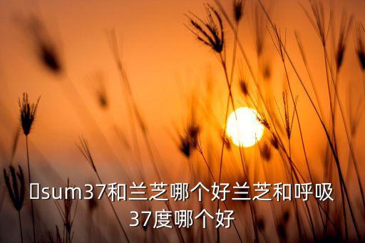 呼吸37化妆品怎么样,呼吸37度和兰芝哪个护肤品最好?