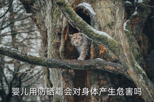 婴儿宝宝防晒气垫怎么样,宝宝能涂防晒霜吗?可以卸妆吗?