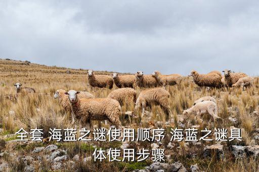 全套 海蓝之谜使用顺序 海蓝之谜具体使用步骤