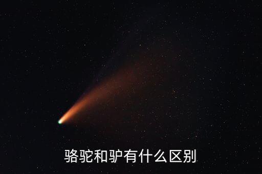 骆驼和驴有什么区别