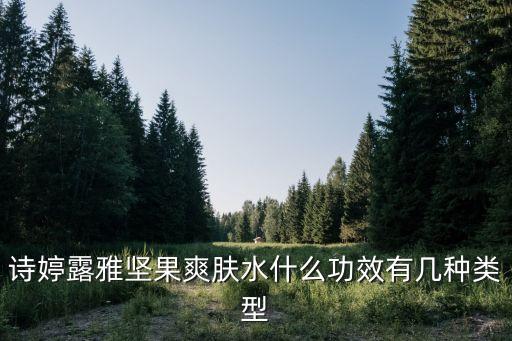 诗婷露雅坚果爽肤水什么功效有几种类型