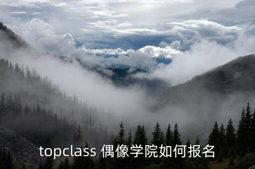 哪里有偶像学校,上海国际偶像学校