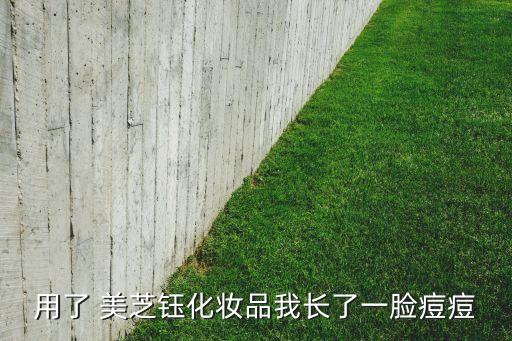 用了 美芝钰化妆品我长了一脸痘痘