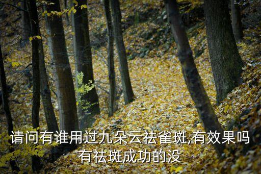 请问有谁用过九朵云祛雀斑,有效果吗有祛斑成功的没