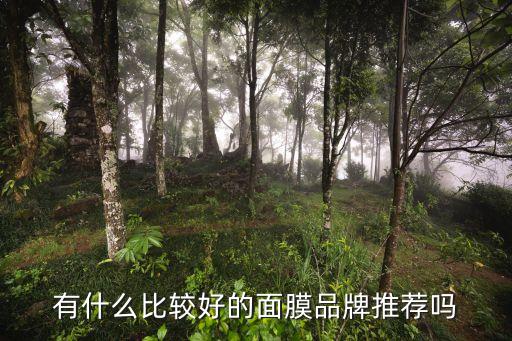 有什么比较好的面膜品牌推荐吗