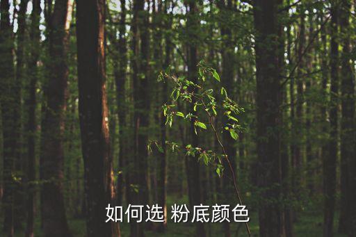 如何选 粉底颜色