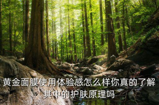 黄金面膜使用体验感怎么样你真的了解其中的护肤原理吗