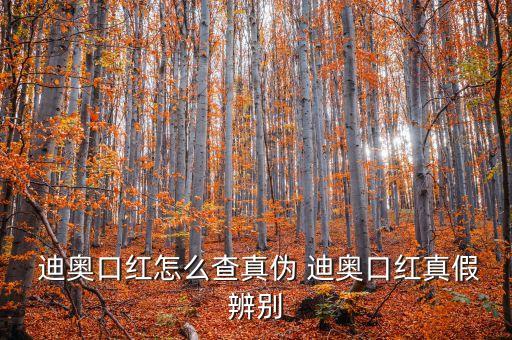 迪奥怎么查询是正品吗,正品查询防伪扫一扫