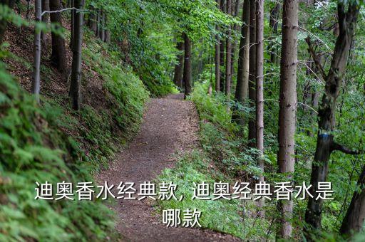 迪奥粉魅惑前调有多久