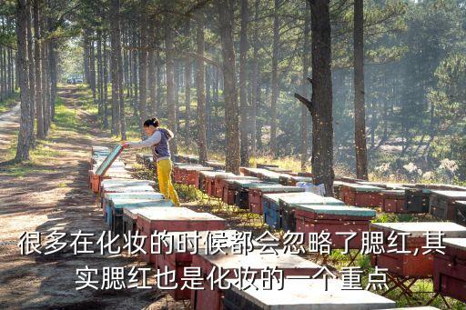 很多在化妆的时候都会忽略了腮红,其实腮红也是化妆的一个重点