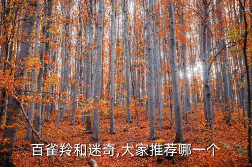 百雀羚和迷奇,大家推荐哪一个