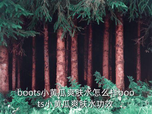 boots小黄瓜爽肤水怎么样boots小黄瓜爽肤水功效