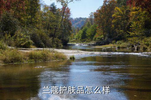  兰蔻护肤品怎么样