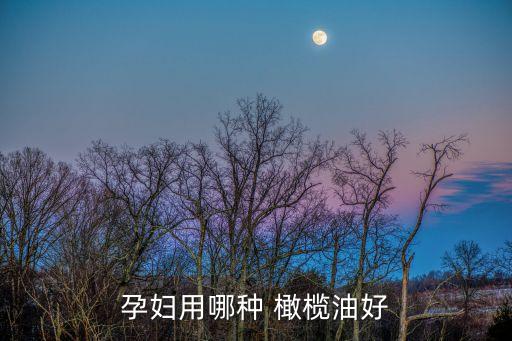孕妇用哪种 橄榄油好