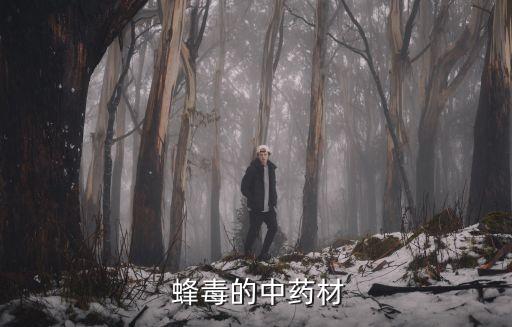  蜂毒的中药材