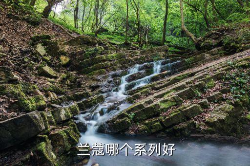 什么兰蔻化妆品,兰蔻化妆品真伪查询入口