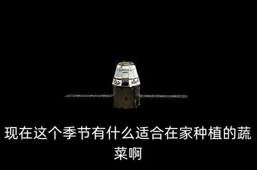 bk用什么香水好闻,车里放什么味的香水比较好闻