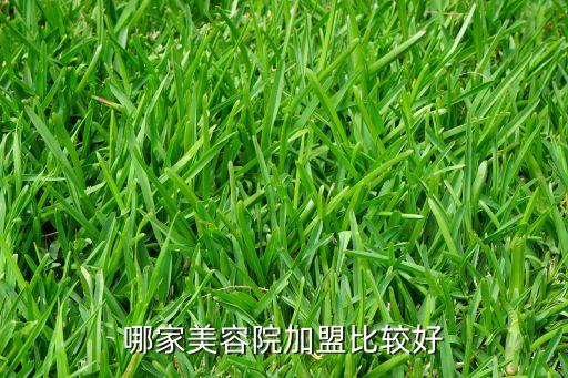 哪家美容院加盟比较好