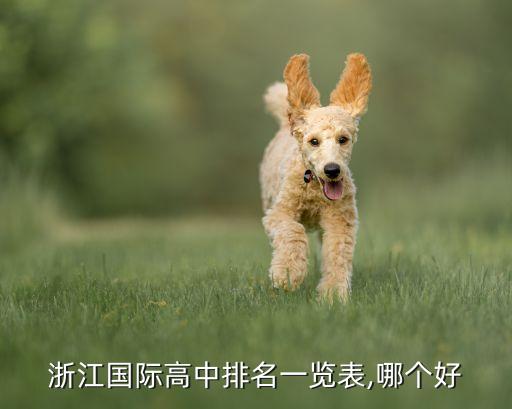 超岳国际学校怎么样,北京顺义国际化学校怎么样?