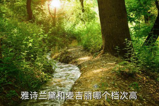 雅诗兰黛和麦吉丽哪个档次高