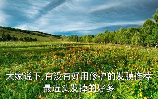 资生堂发膜什么味道,有哪些好用的发膜？