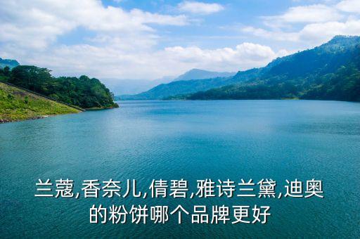 兰蔻,香奈儿,倩碧,雅诗兰黛,迪奥的粉饼哪个品牌更好