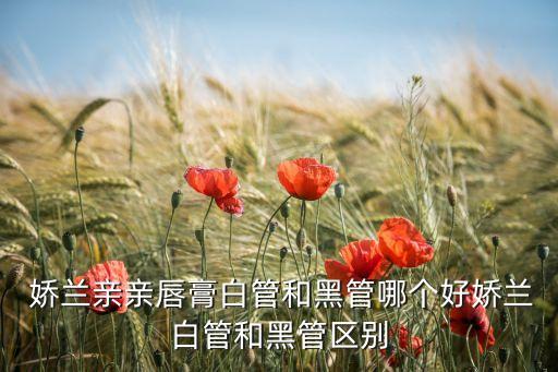  娇兰亲亲唇膏白管和黑管哪个好娇兰白管和黑管区别