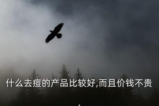 什么去痘的产品比较好,而且价钱不贵.