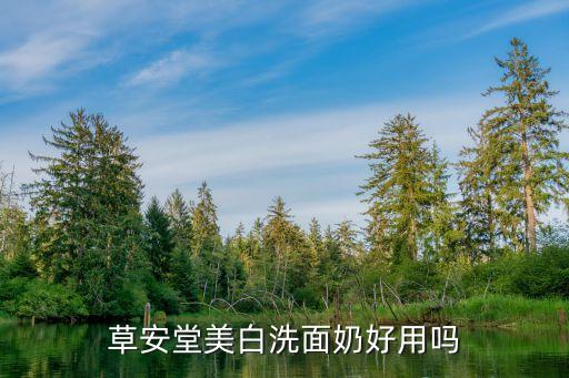 草安堂美白洗面奶好用吗