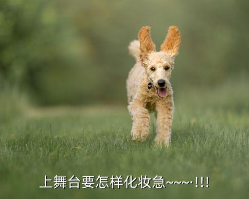 上舞台要怎样化妆急~~~·!!!