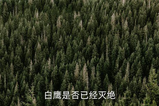 白鹰是否已经灭绝
