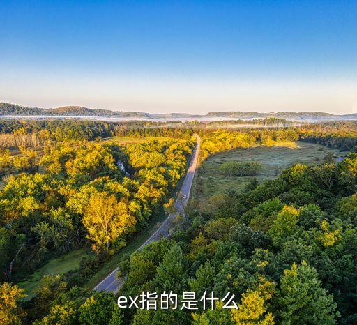 foam ex是什么意思中文,前妻或前夫是什么意思?