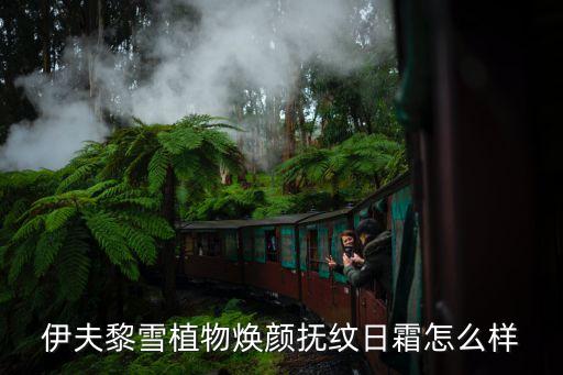 焕颜晚霜多少钱,replasty晚霜多少钱
